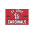 St Louis Cardinals Metal Magnet 2.5" x 3.5"