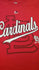 St. Louis Cardinals Youth At The Game T-Shirt by Outerstuff