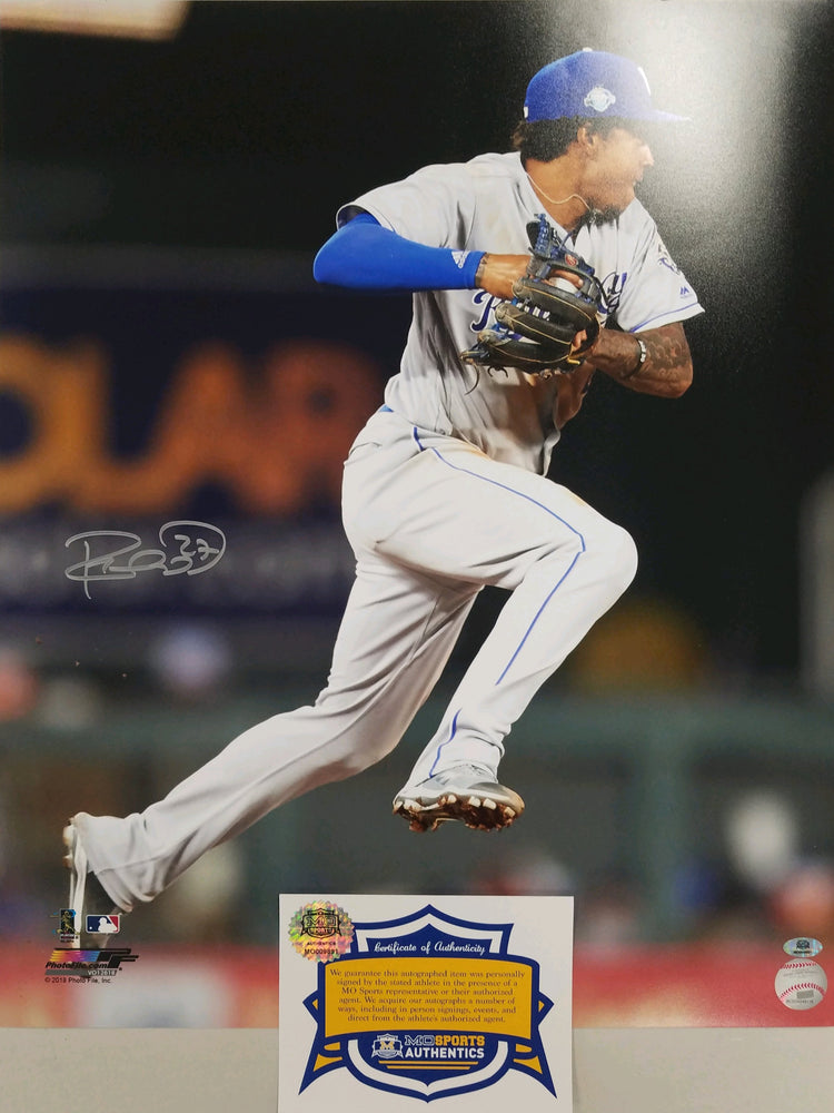 Salvador Perez signed 16x20 photo PSA/DNA Kansas City Royals Autograph –  Golden State Memorabilia
